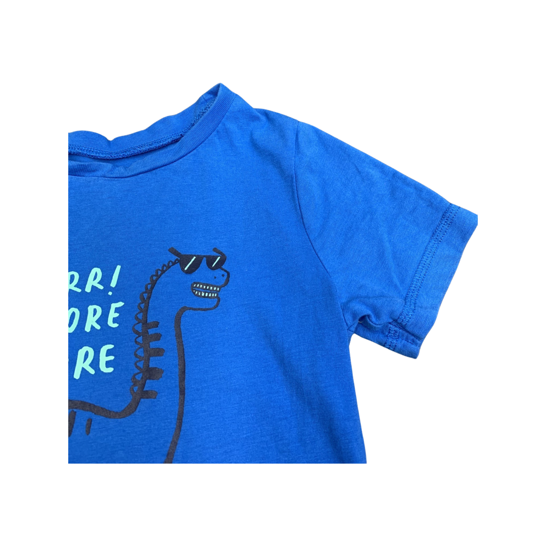 George Blue Dinosaur On A Skateboard T-Shirt 5-6 Years